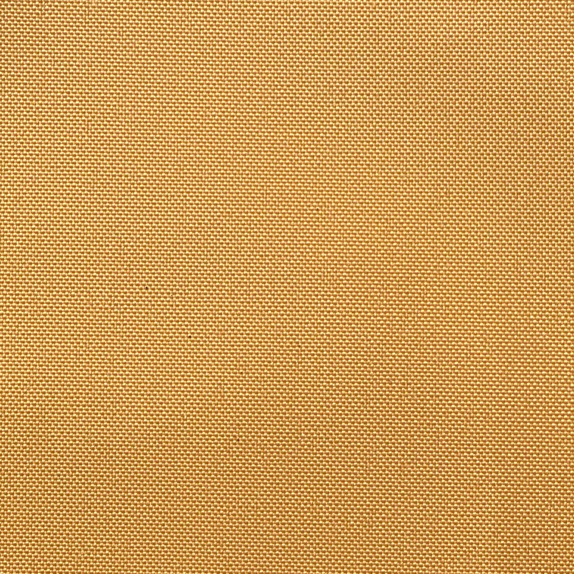 Colour: Mustard