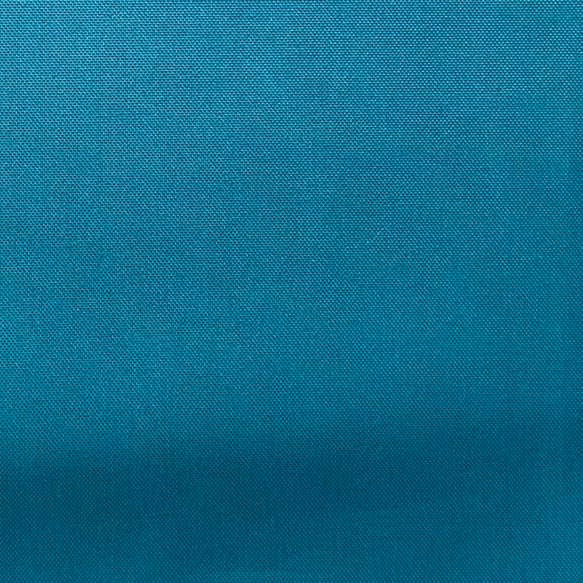 Colour: Peacock